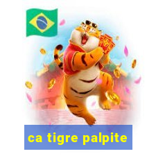 ca tigre palpite